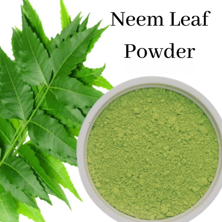 Neem Leaf Powder – 100% Pure, Natural & Organic 🌿✨