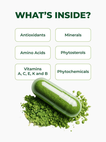 Moringa Capsules – Moringa Leaf, Immune Support