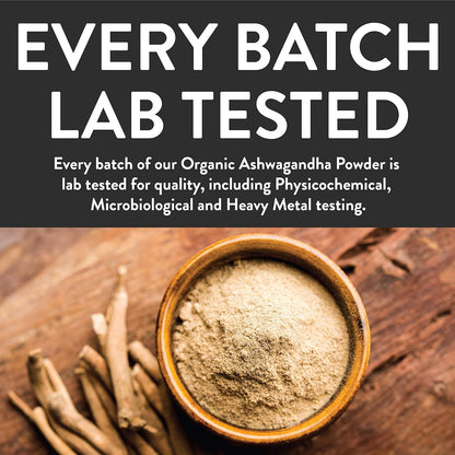 Ashwagandha Root Powder – The All-Natural Solution to Boost Your Energy and Focus