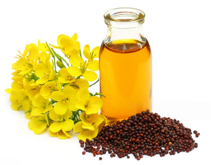 Natural Radiance Mustard Blend  Sarso Hair & Skin Nectar Oil 120ml